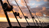 04172023_CITF_HI_TURKEY_PEACOCK_TREVALLY-2-2.jpg