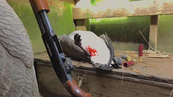Why a Pump Gun Still Has a Place in a Duck Blind