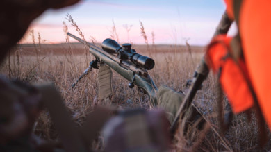5 Common Cartridges I'll Never Hunt Deer With