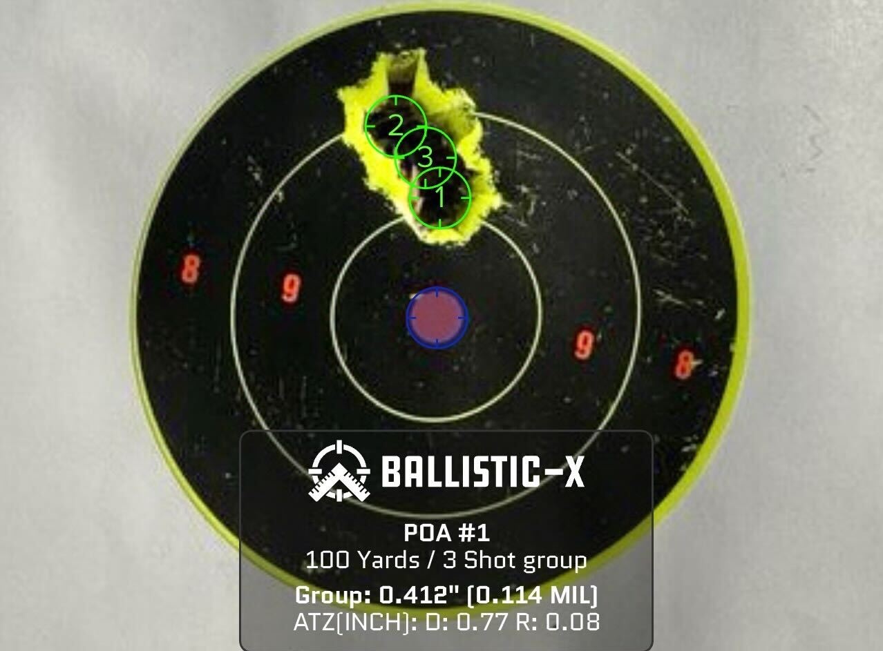 sig ballistic shot group