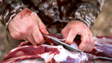 The Best Hunting Knives