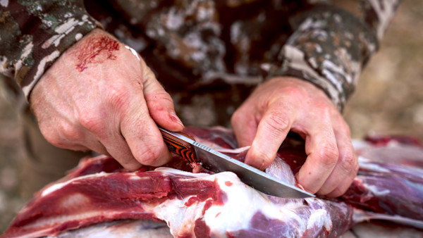 The Best Hunting Knives