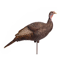 DSD Upright Hen Decoy