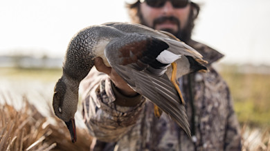 5 Overlooked Puddle Ducks and How to Hunt Them