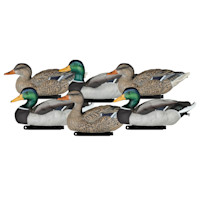 Packable Mallard 6 Pack Painted Heads