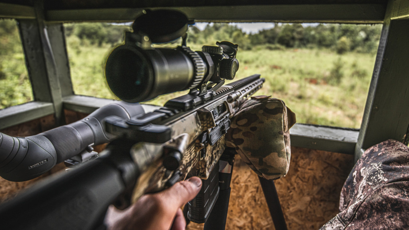 Should Your Next Deer Rifle Be an AR-15?