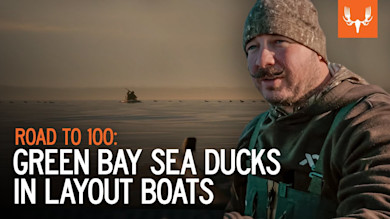 Green Bay Sea Ducks in Layout Boats