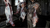 How Hunters Use Venison to Feed the Hungry