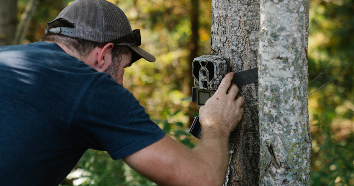 5 Offseason Chores that Help the Experts Kill Big Bucks 5 Offseason Chores that Help the Experts Kill Big Bucks