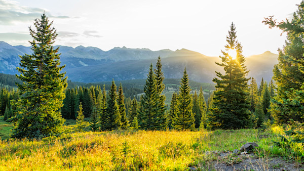 Bowhunter Accidentally Killed by Fellow Elk Hunter in Colorado