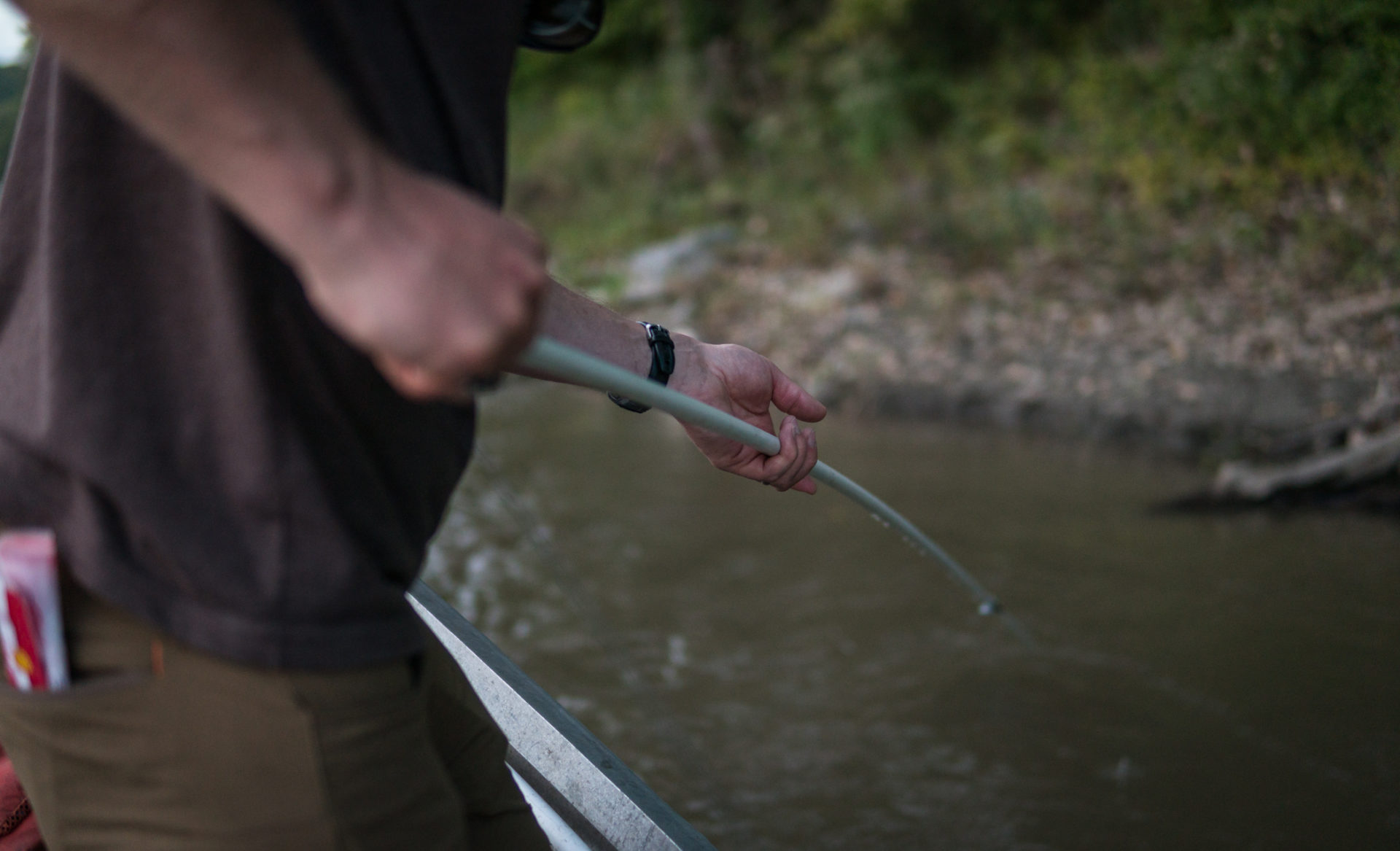 Missouri river flathead Catfishing with Bank poles, catch