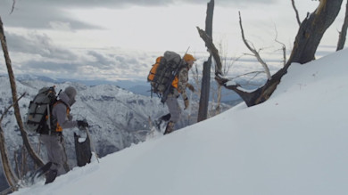 High Country Mountain Goat