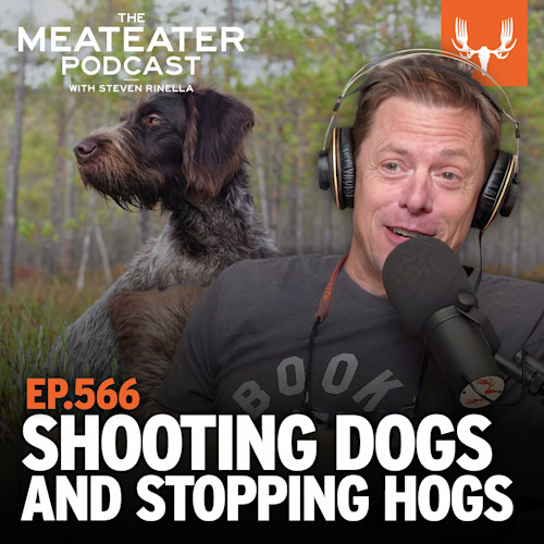 Steven Rinella wearing headphones at microphone; text 'EP.566 SHOOTING DOGS AND STOPPING HOGS'