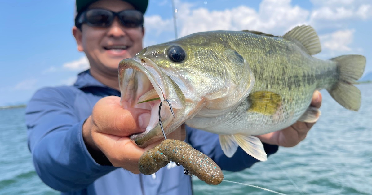 Poop Baits, Shrimp-in-a-Cup, and a Dangerous Addiction to New Japanese Fishing Tackle | MeatEater Fishing Poop Baits, Shrimp-in-a-Cup, and a Dangerous Addiction to New Japanese Fishing Tackle | MeatEater Fishing