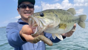 Video: How to Fish for Bass with Vibrating Jigs