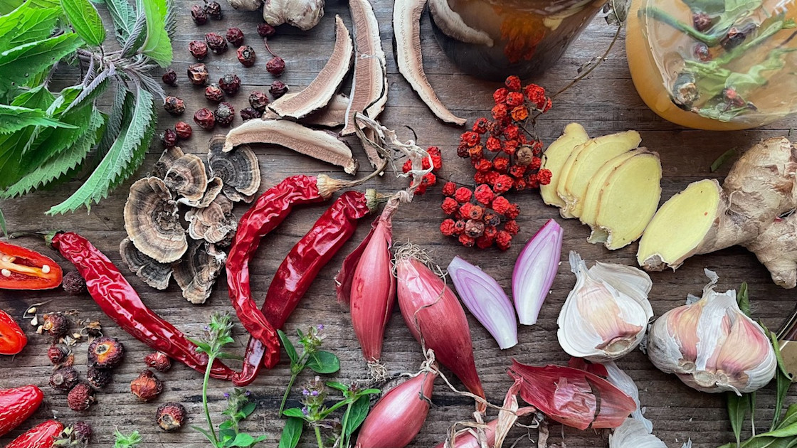 Foraged Fire Cider | Wild + Whole