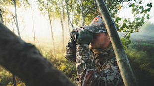 How to Find Deer With Limited Time