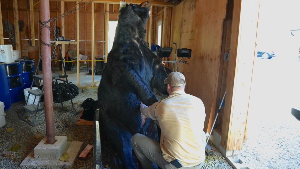 New Jersey Hunter Faces Backlash After Harvesting 770-Pound Bear