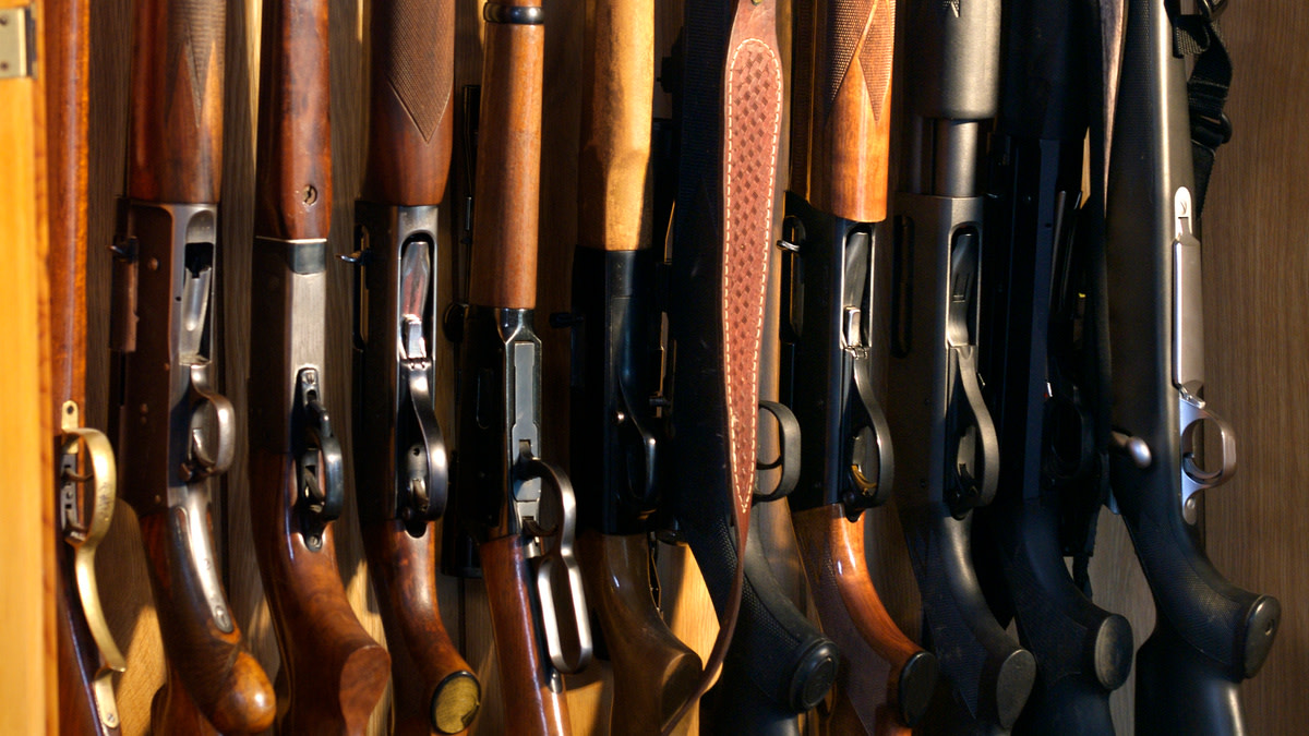 Historic Gun Ownership Law Could Go Into Effect Next Month