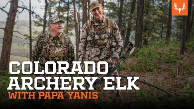 Colorado Archery Elk with Papa Janis