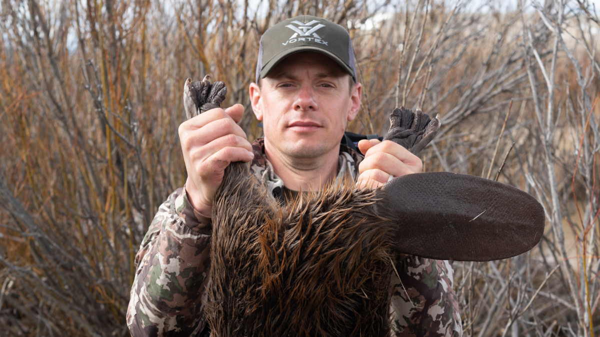 MeatEater Obtains Leaked Letter Asking Biden to Ban Beaver Trapping Nationwide