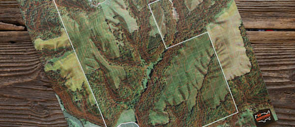 The Value of Looking At Your Hunting Property With Fresh Eyes