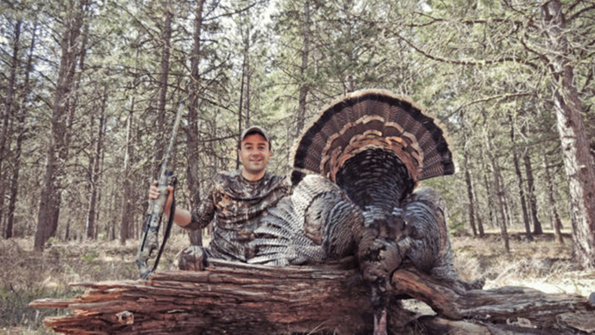 Turkey Hunting: Bushwhacks, Ambushes and Fall Hunts