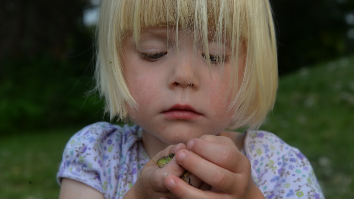 Kermit Herding: The Art of Teaching Kids to Catch Frogs