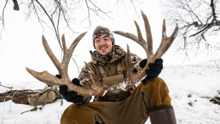 whitetail shed hunting tips