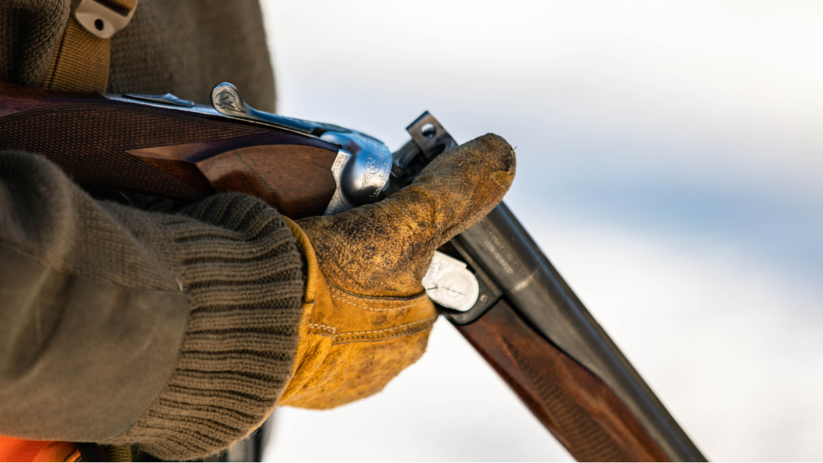 The Best Upland Shotgun