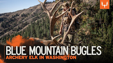 Blue Mountain Bugles