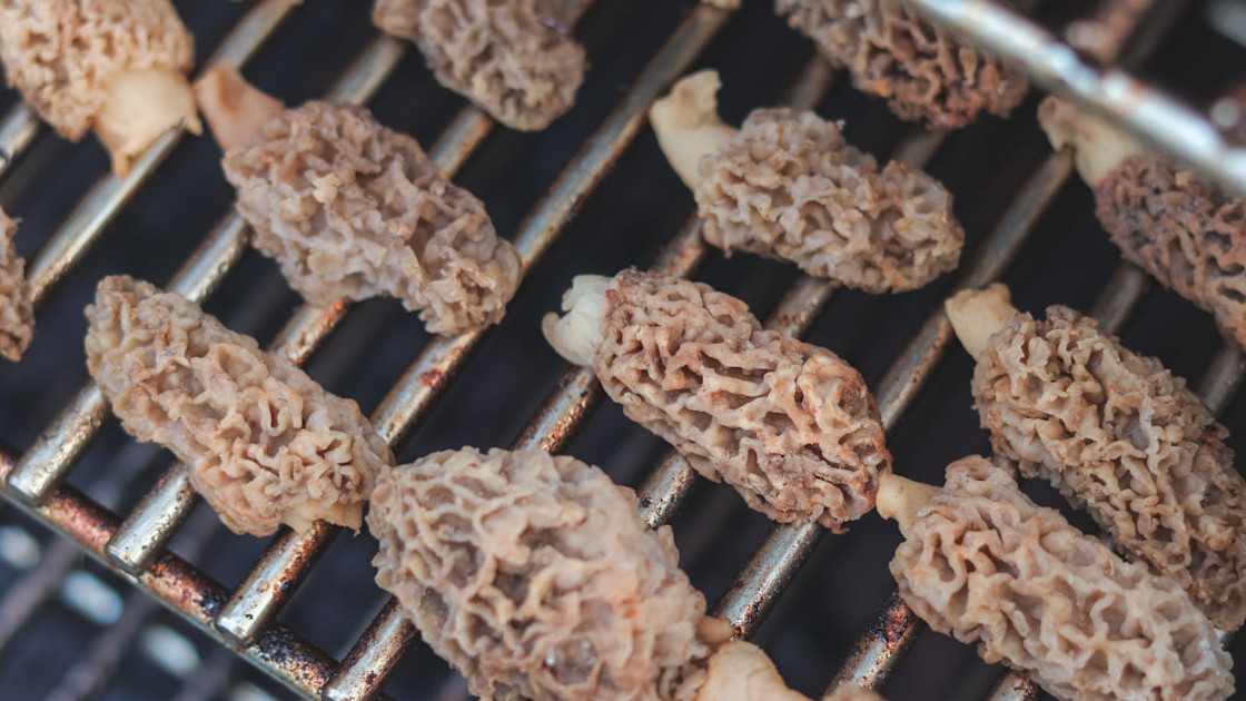 3 Best Ways to Clean Morel Mushrooms MeatEater Wild Foods