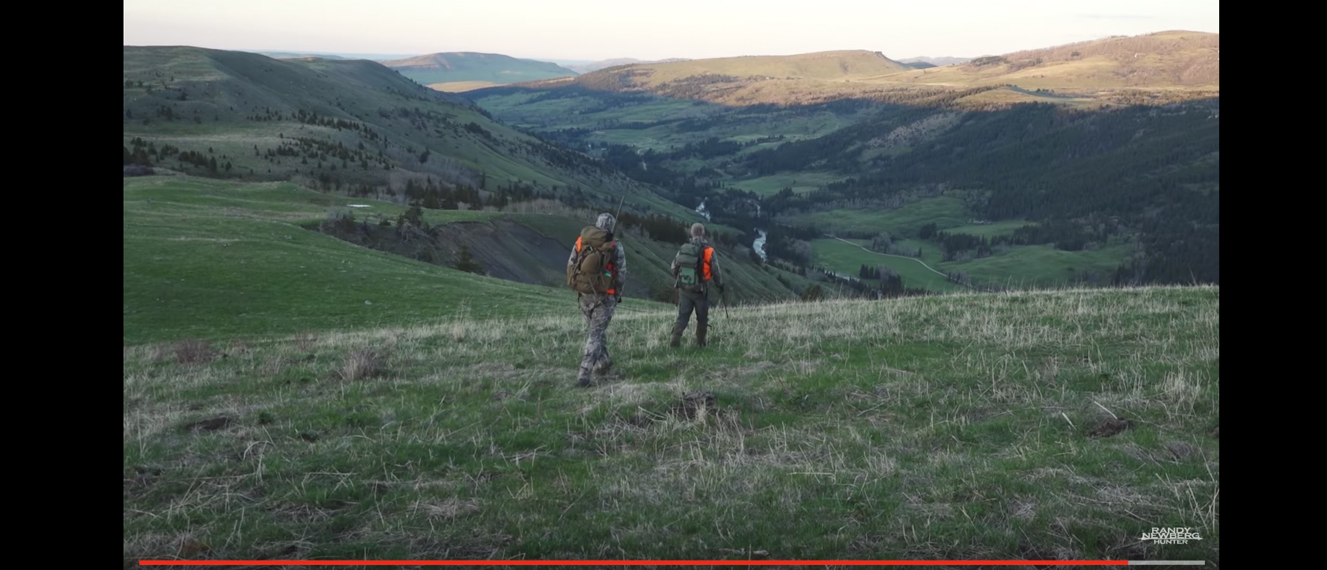 Watch My Montana Black Bear Hunt with Randy Newberg (Video