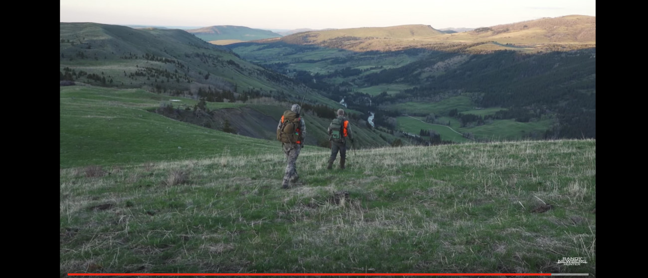 Watch My Montana Black Bear Hunt with Randy Newberg (Video)
