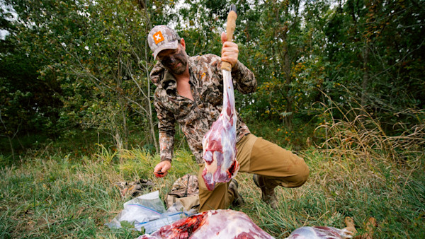 How to Butcher a Venison Hindquarter