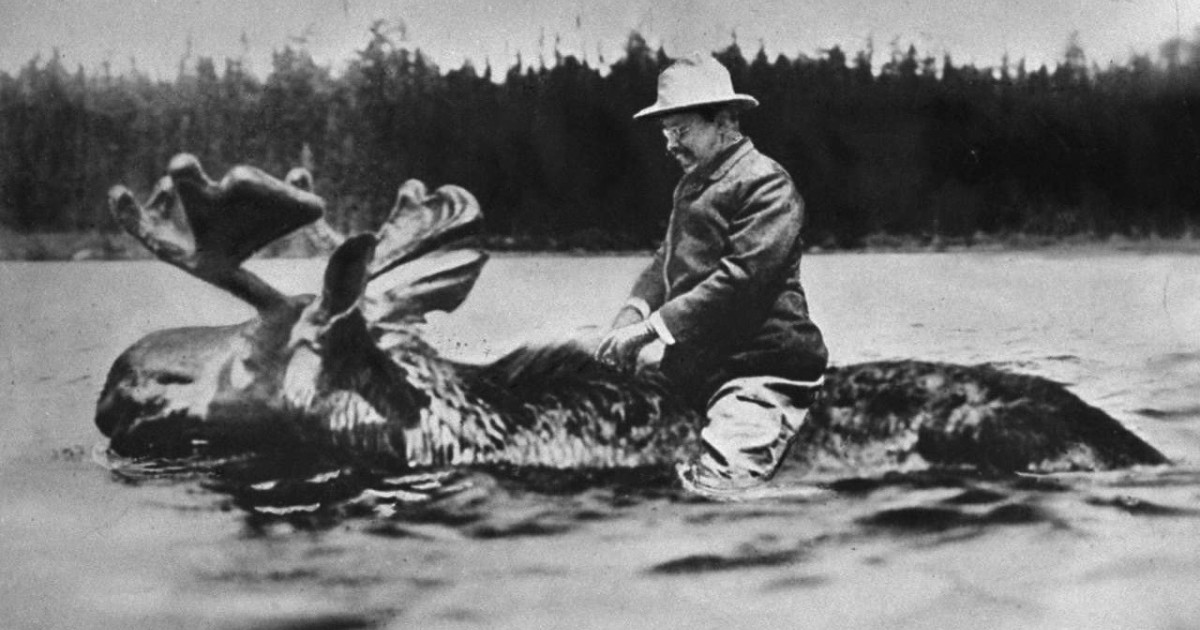 Did Teddy Roosevelt Ride a Moose? | MeatEater Conservation News