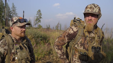 Oregon Archery Elk with Jason Phelps