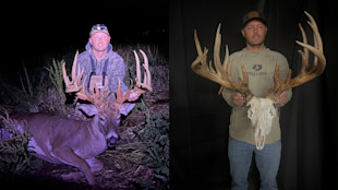 INrecordbuck.jpg