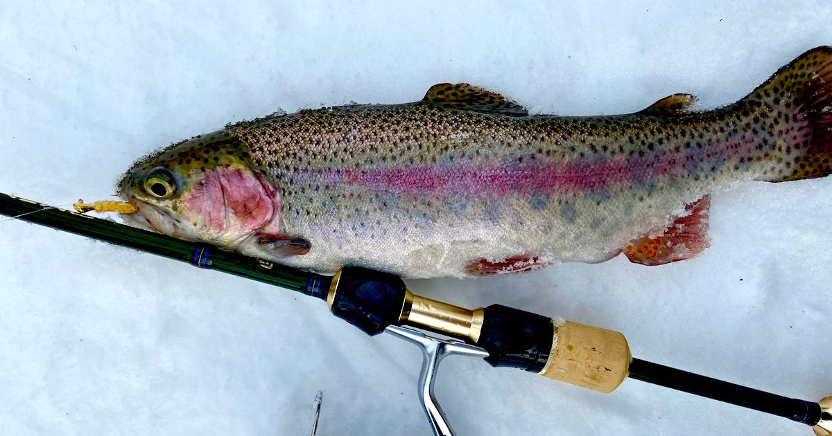 The Best Baits and Lures For Stocked Trout