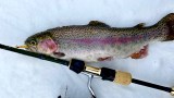 On The Water Magazine - Blue Fox, Panther Martin, Mepps, or  Roostertailwhat's your go-to spinner for spring trout?