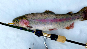 best fishing lures freshwater Freshwater Bait and Lures