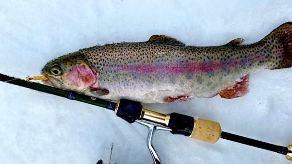 The Best Baits and Lures For Stocked Trout