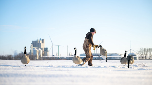 The Ten Best Cities in the U.S. for Duck Hunters