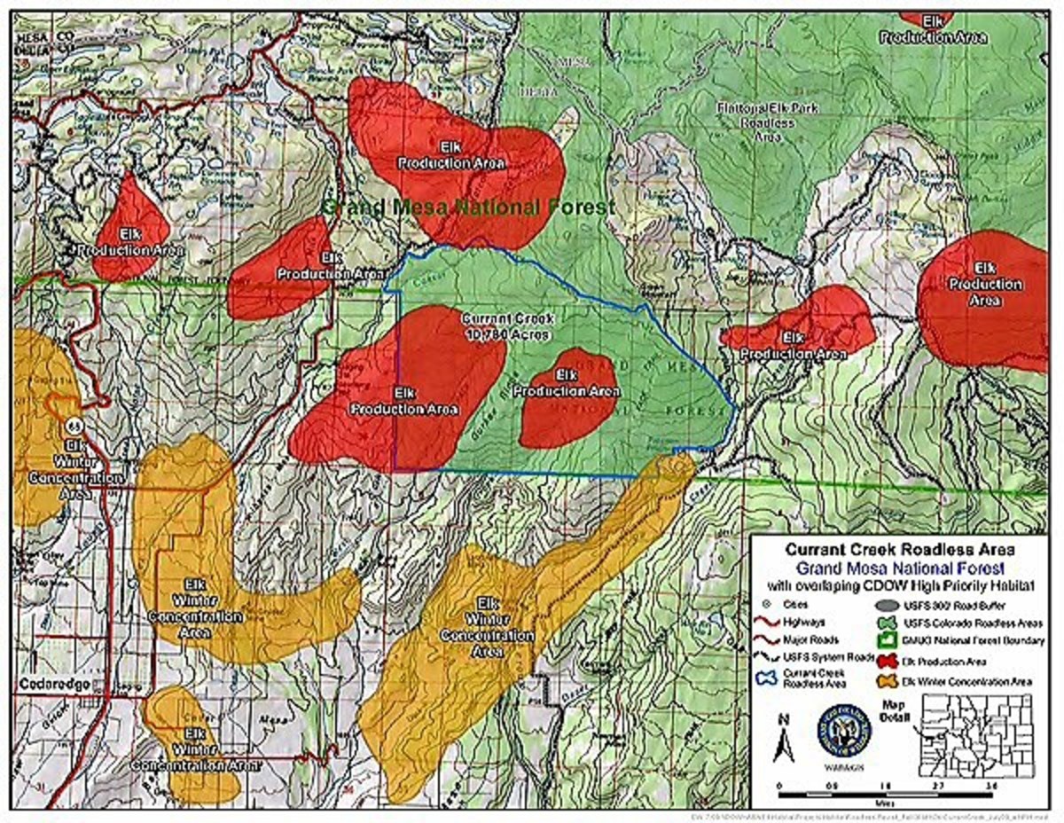 Hunting for Information: A Tale of Two Deer