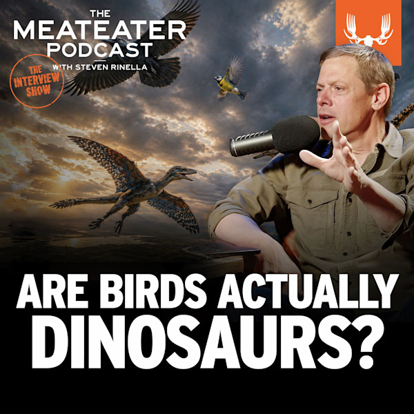 ARE BIRDS ACTUALLY DINOSAURS? The Meateater Podcast with Steven Rinella speaking into microphone