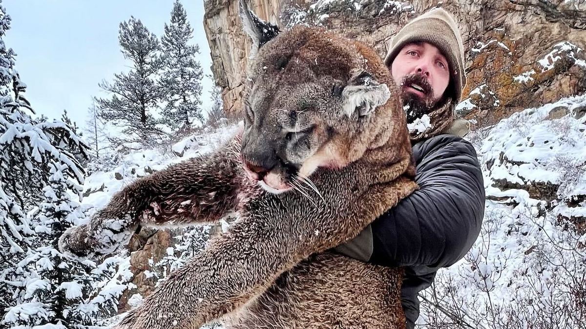 The Truth About Derek Wolfe's Viral Mountain Lion Hunt | MeatEater