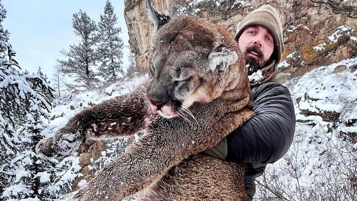The Truth About Derek Wolfe's Viral Mountain Lion Hunt | MeatEater  Conservation