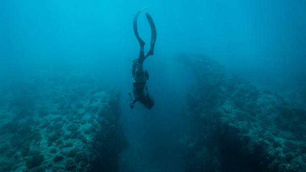 Video: A Guide to Spearfishing with Kimi Werner