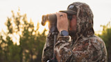 96% of Poaching Cases Go Undetected, New Report Says