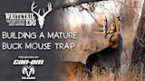 How to Get More Mature Bucks in Bow Range
